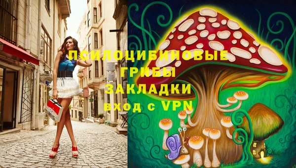 марки lsd Дмитриев