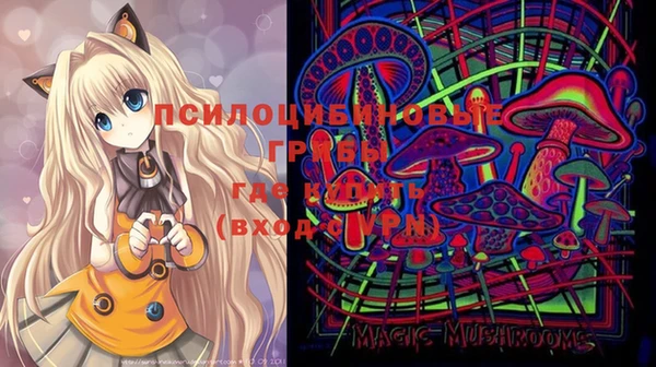 марки lsd Дмитриев