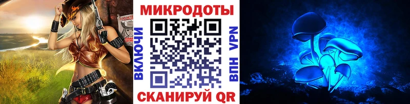 Псилоцибиновые грибы Psilocybe  Ивдель 